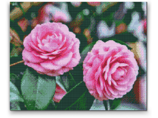 Diamond Paint - Lyserøde kameliaer