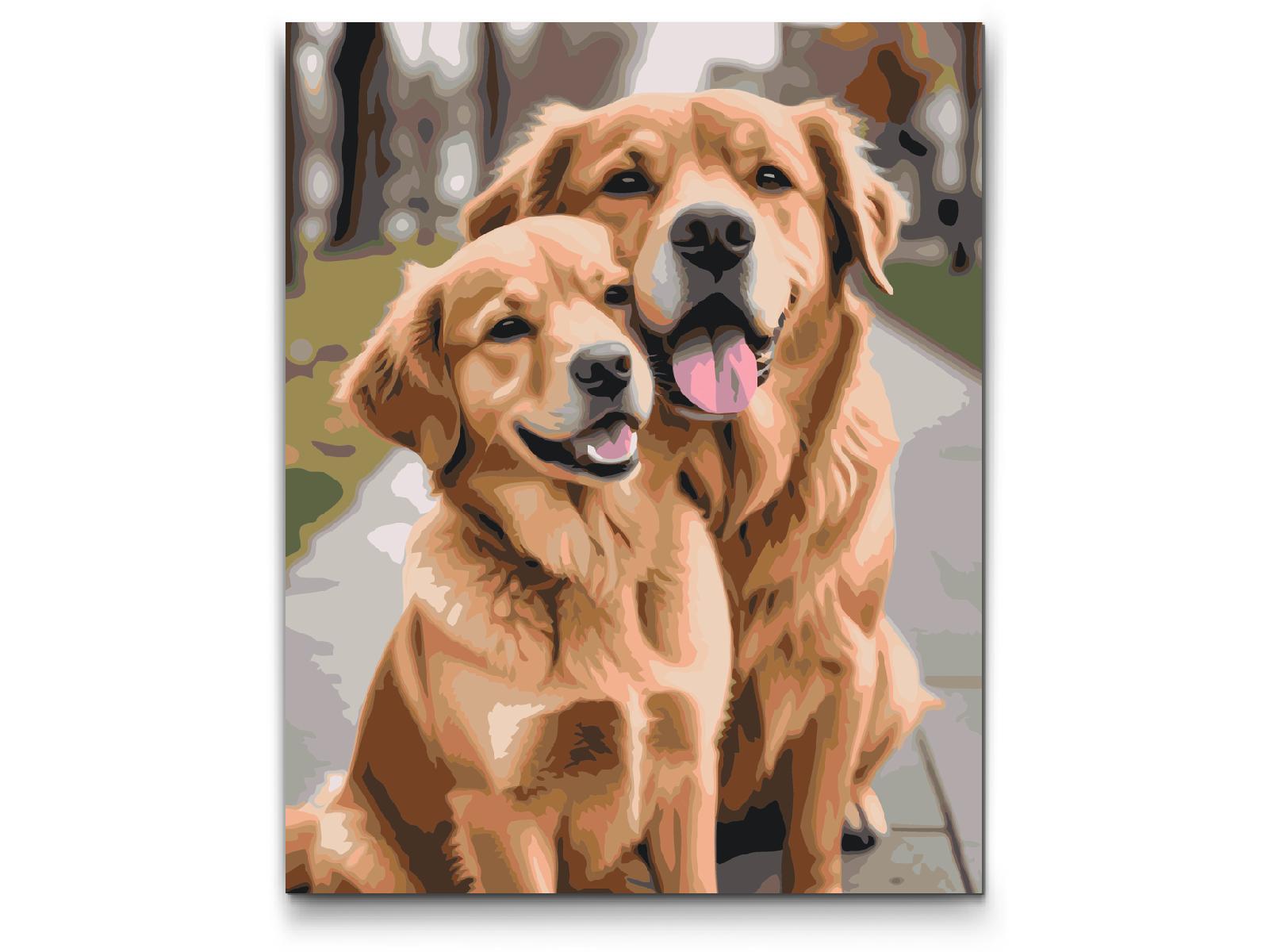 Paint by number - Hunde forelskede