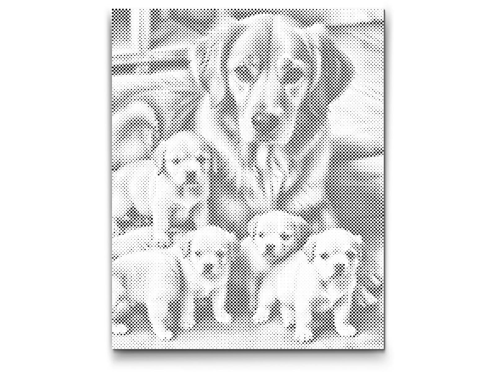 Dotting - Golden retriever og hvalpe