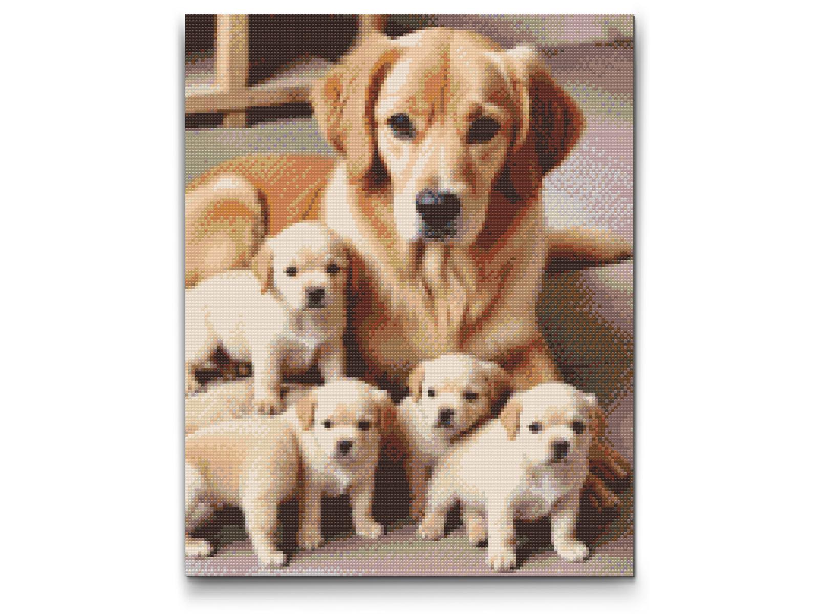 Diamond Paint - Golden retriever og hvalpe