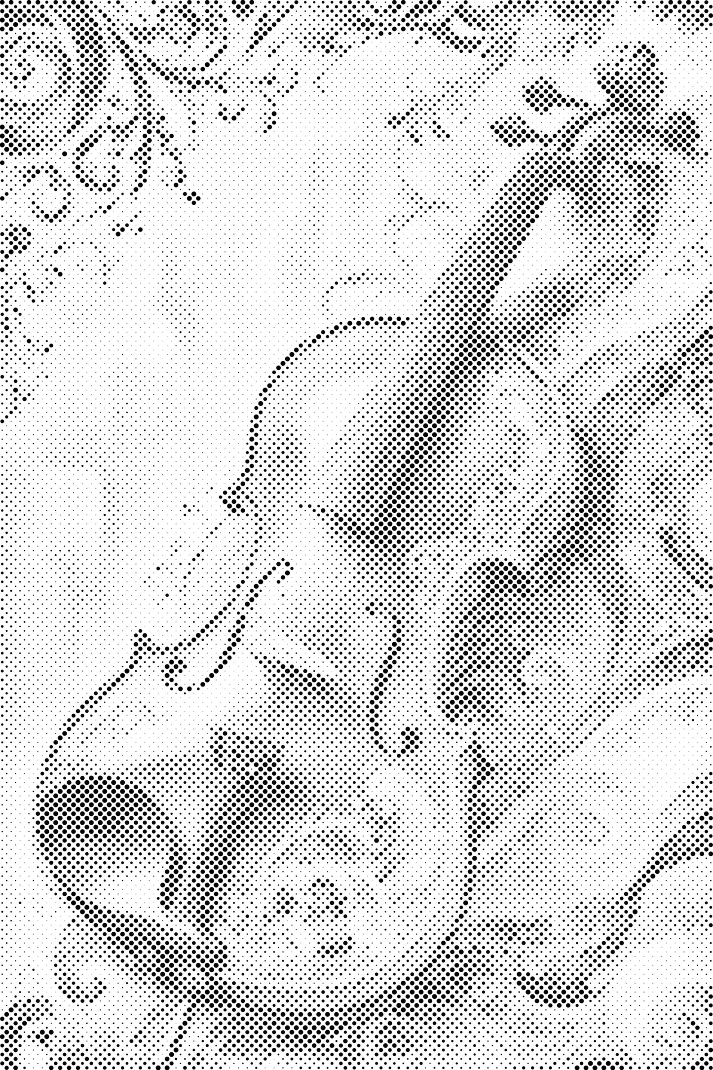 Dotting - Violin i farver