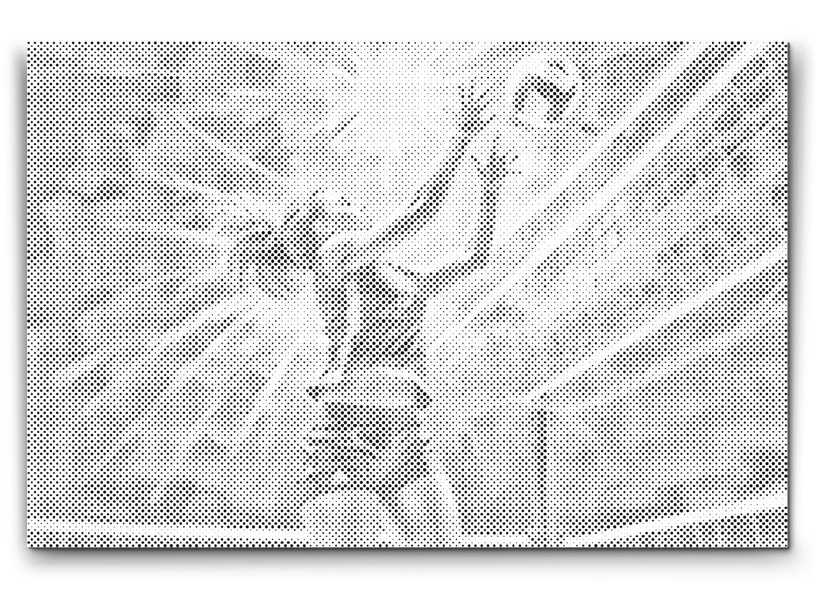 Dotting - Volleyballspiller
