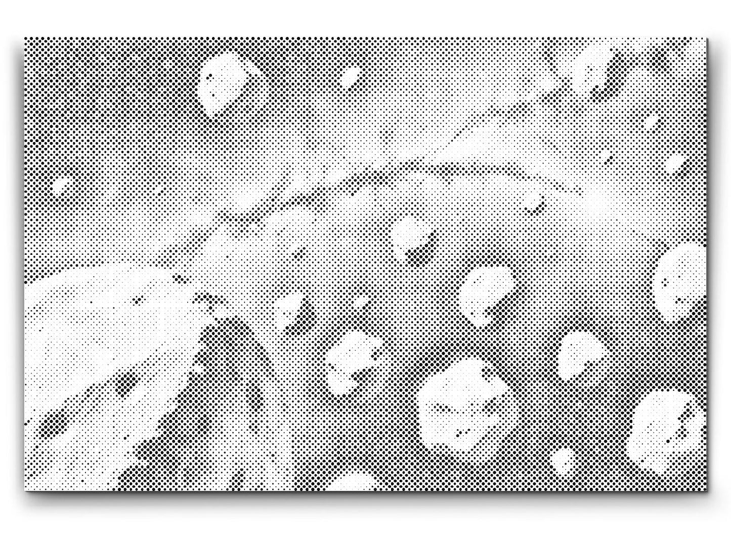 Dotting - Asteroidebælte