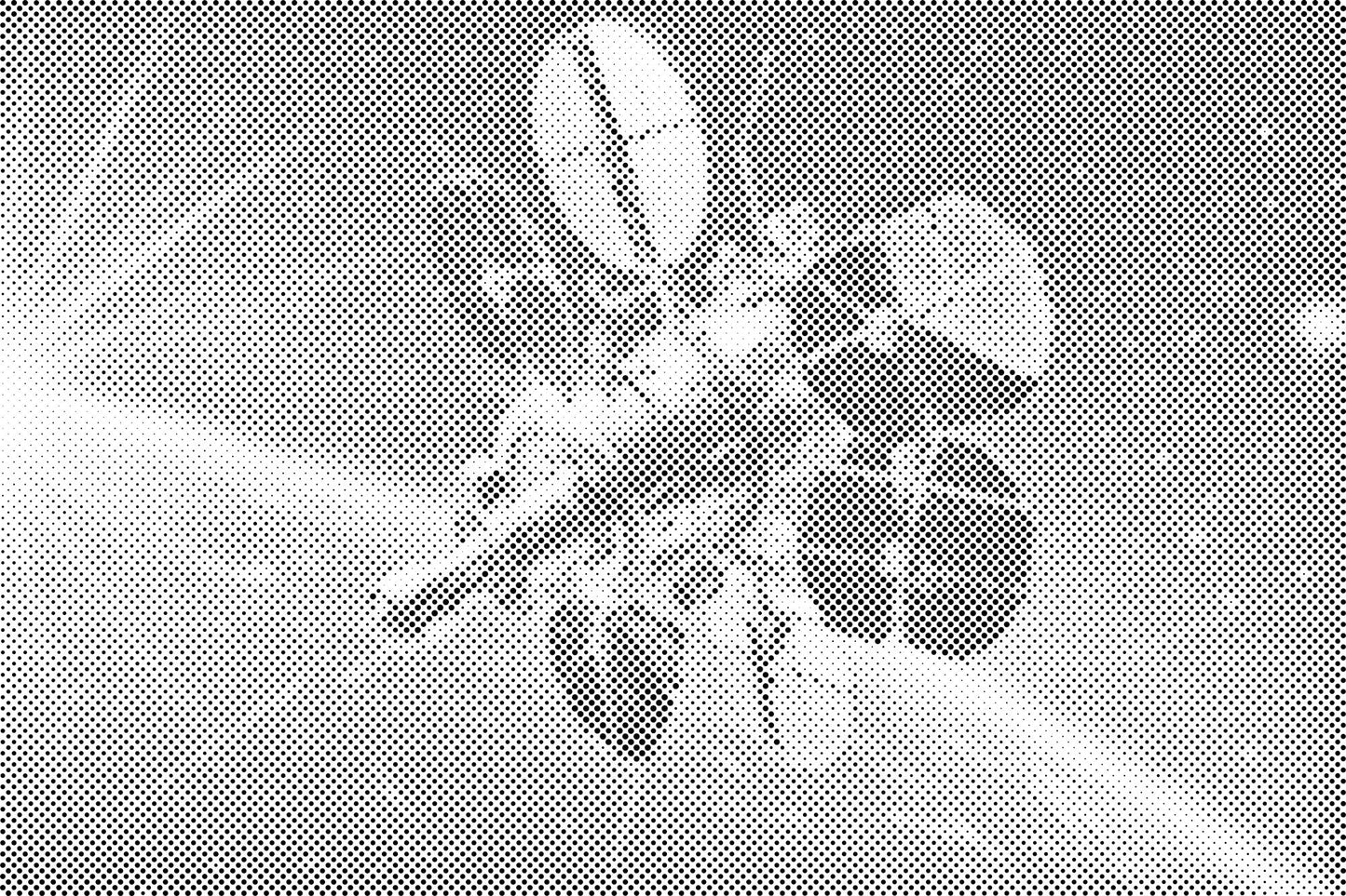 Dotting - Rumsatellit