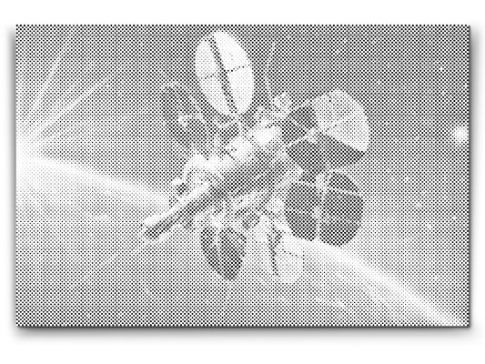 Dotting - Rumsatellit