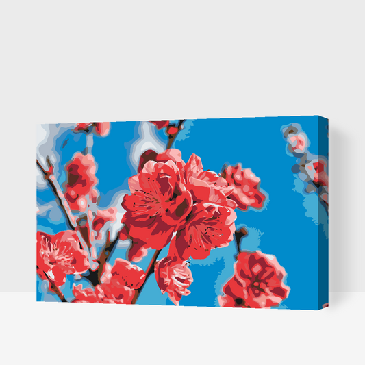 Paint by number - Ferskenblomst