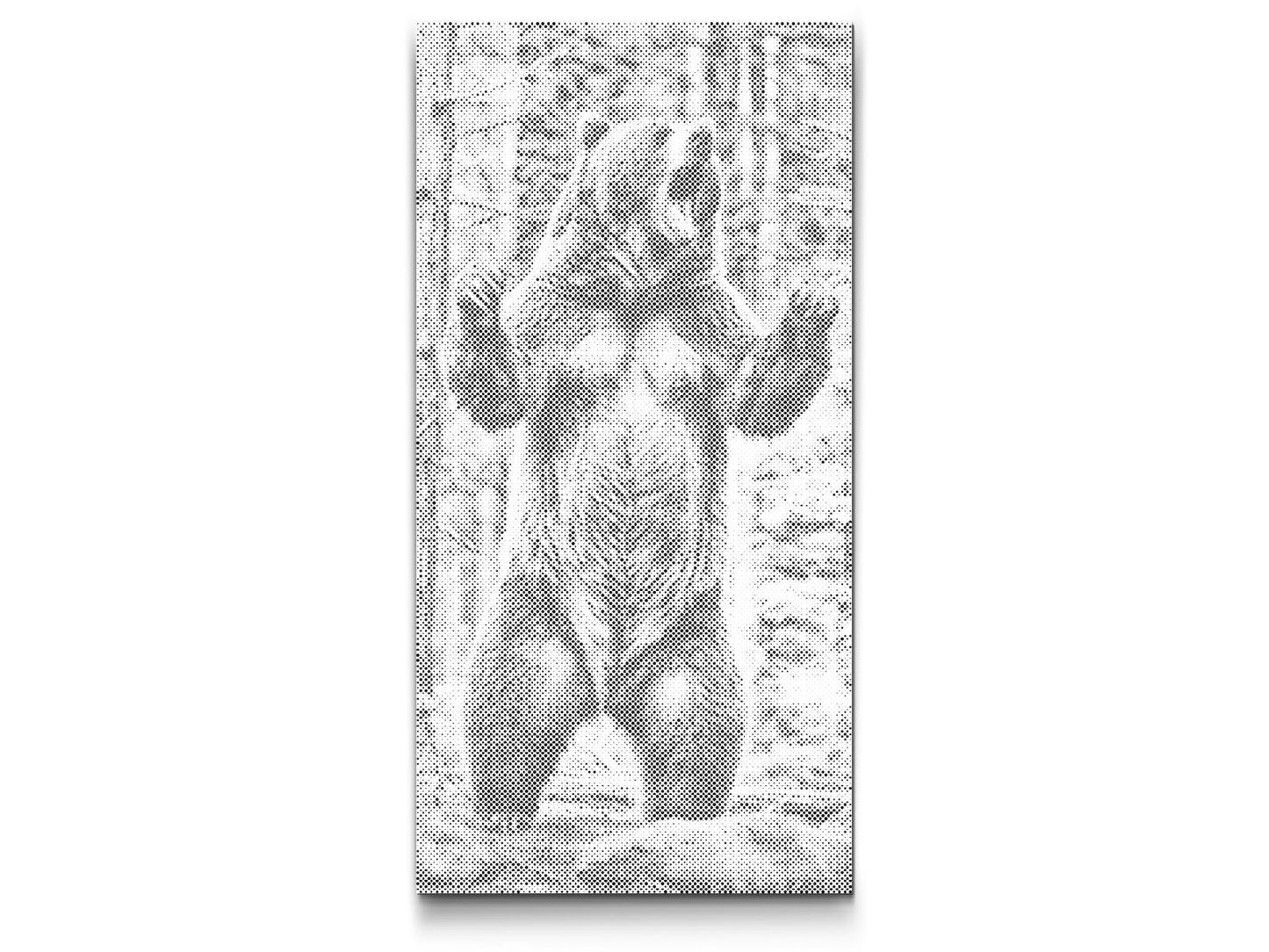 Dotting - Store grizzly