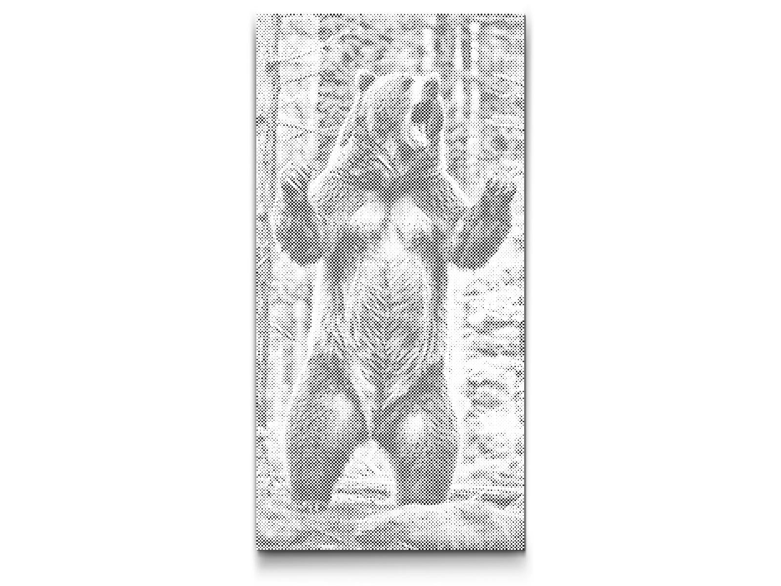 Dotting - Store grizzly