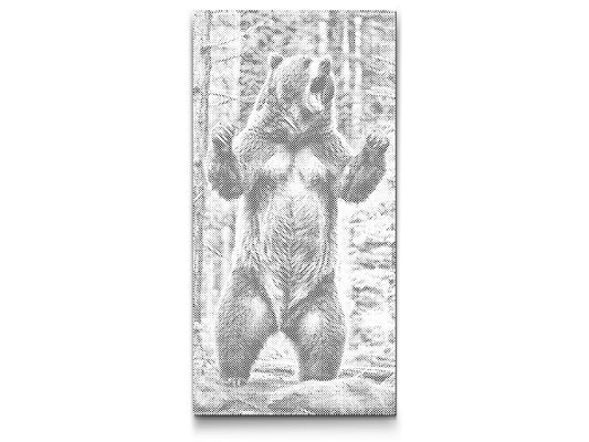 Dotting - Store grizzly