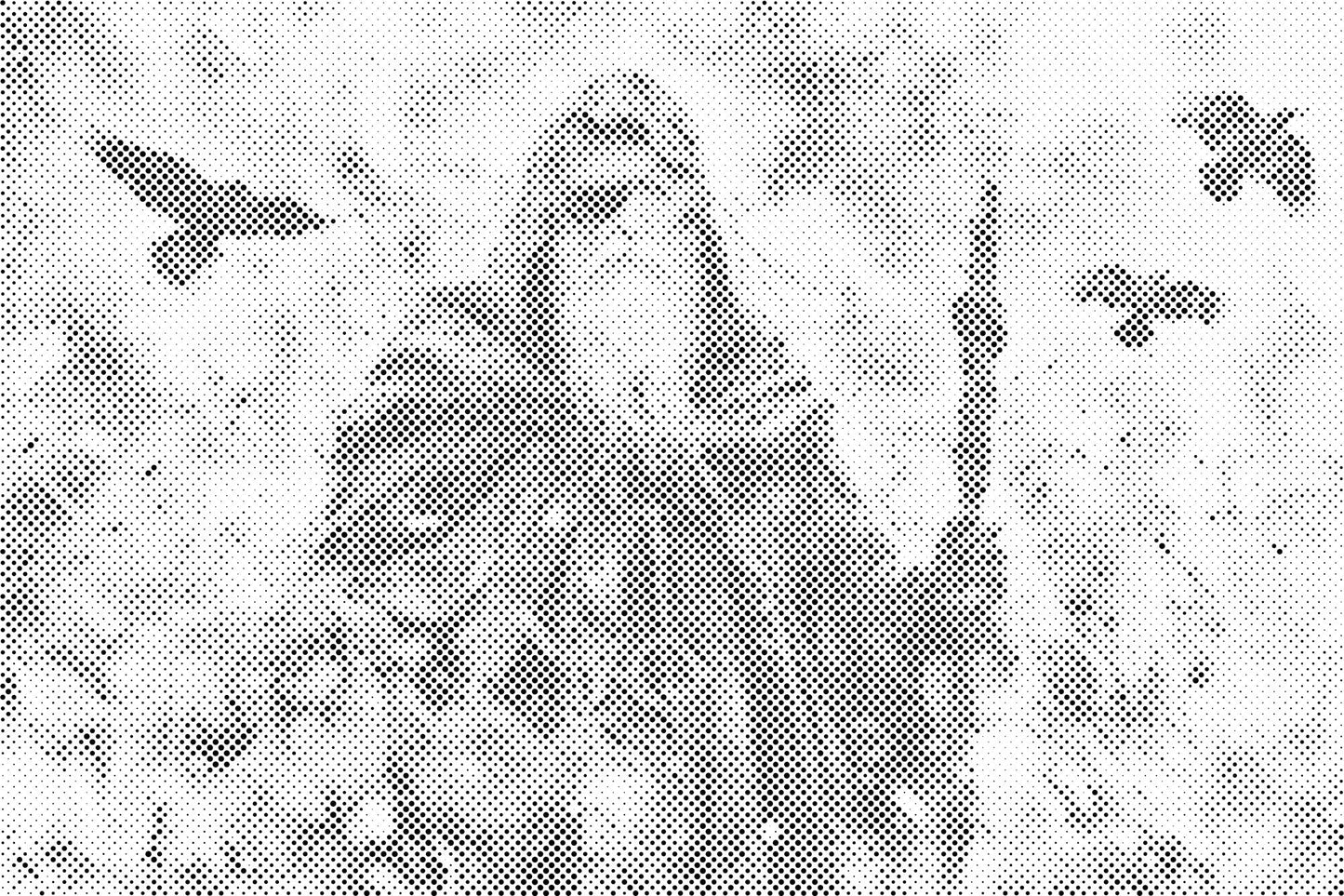 Dotting - Odin – Gud for død, krig og magi
