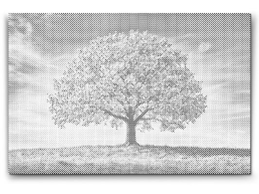 Dotting - Blomstrende skønhed