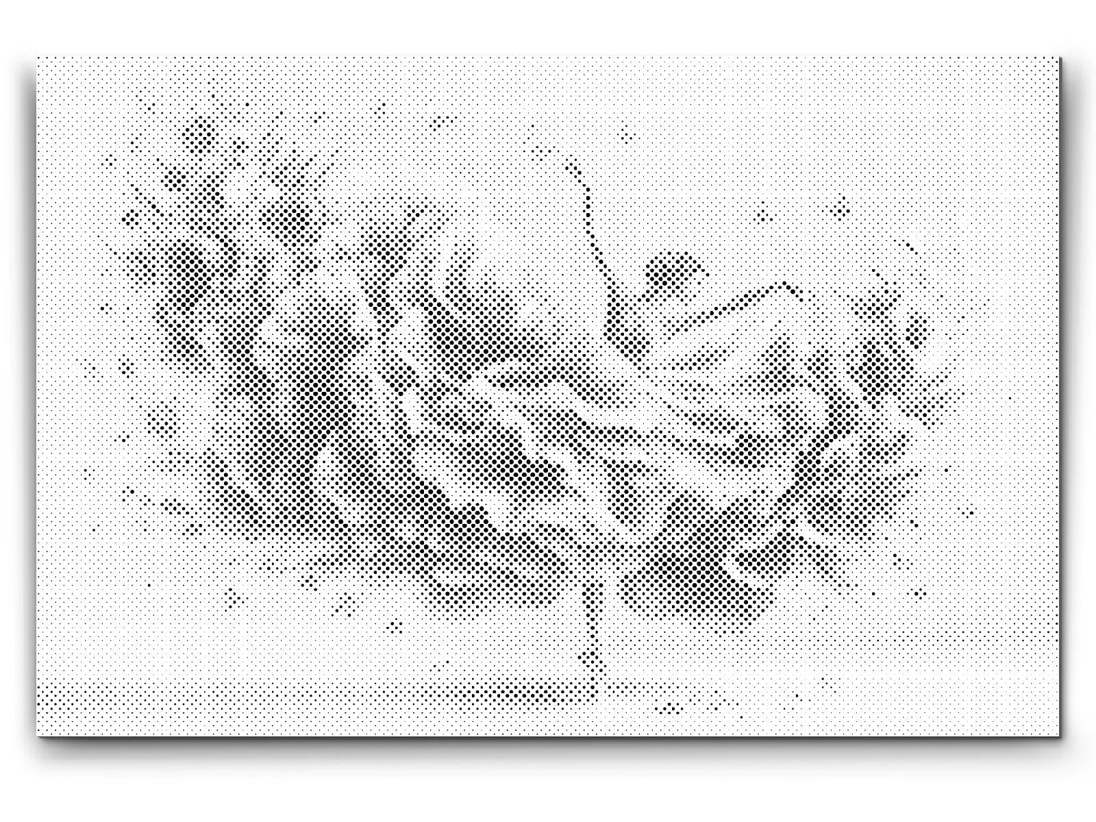 Dotting - Ballerina – harmonisk dans
