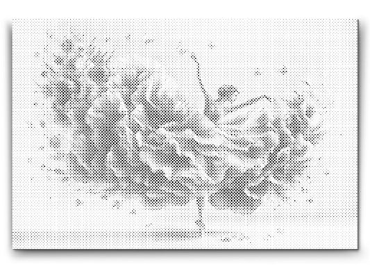 Dotting - Ballerina – harmonisk dans