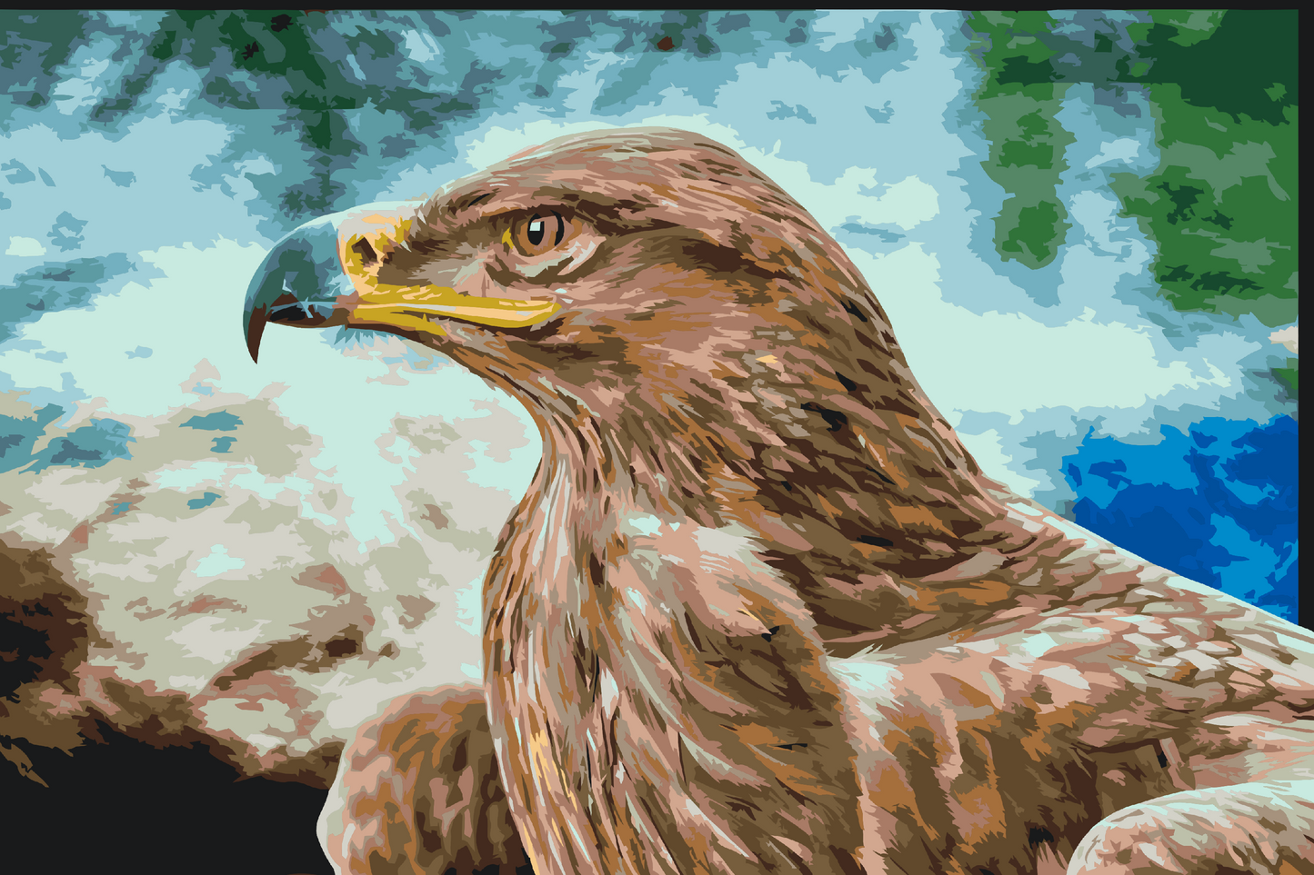 Paint by number - Raptor
