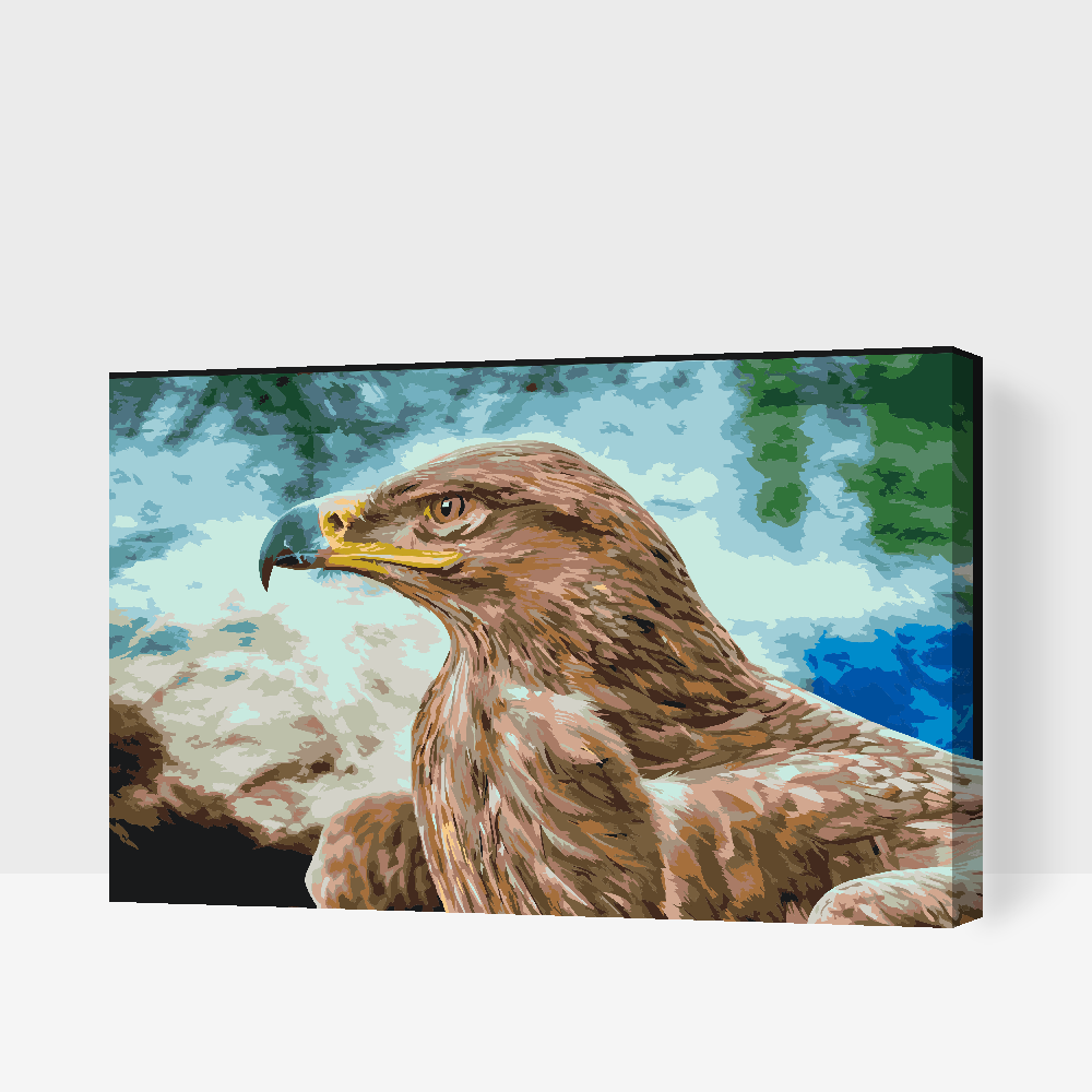 Paint by number - Raptor