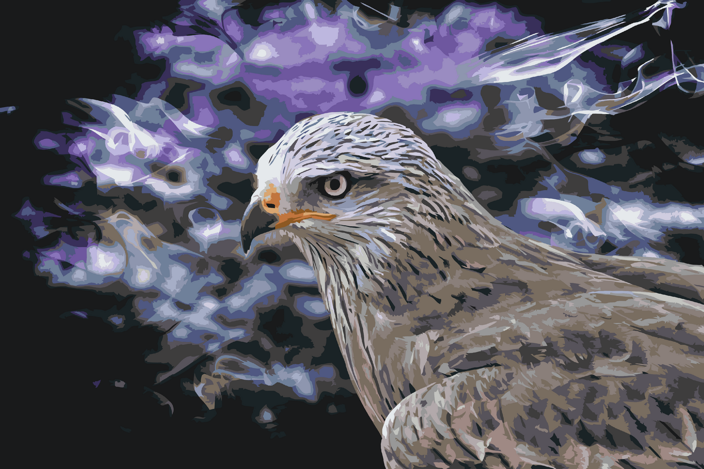 Paint by number - Falcon