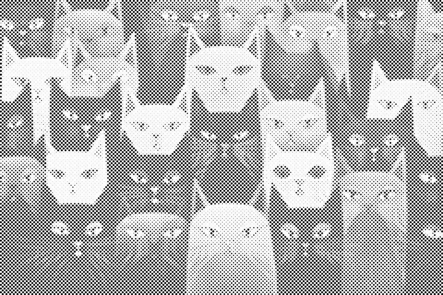 Dotting - Katte, uanset hvor man kigger