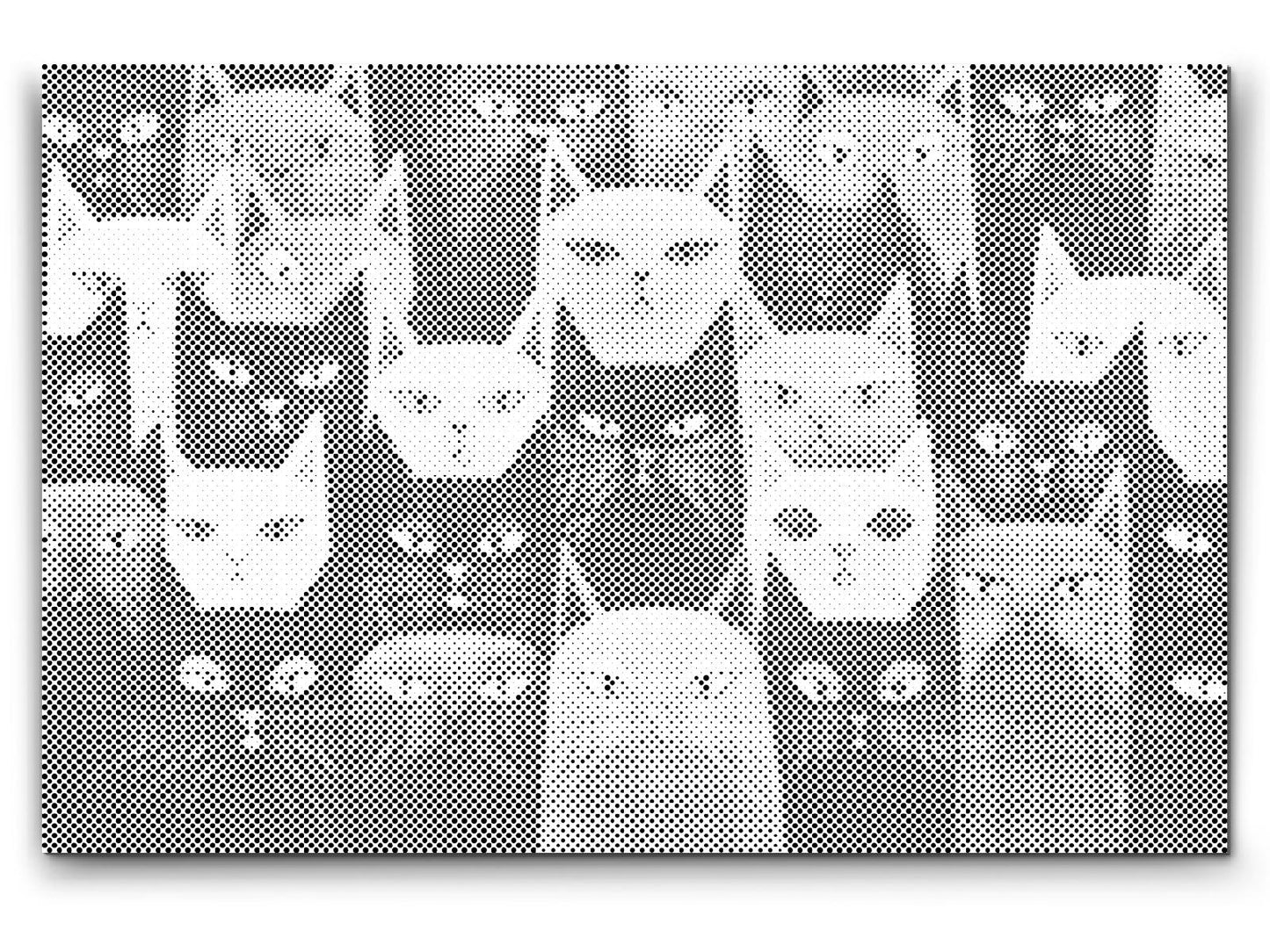 Dotting - Katte, uanset hvor man kigger