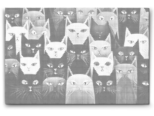 Dotting - Katte, uanset hvor man kigger