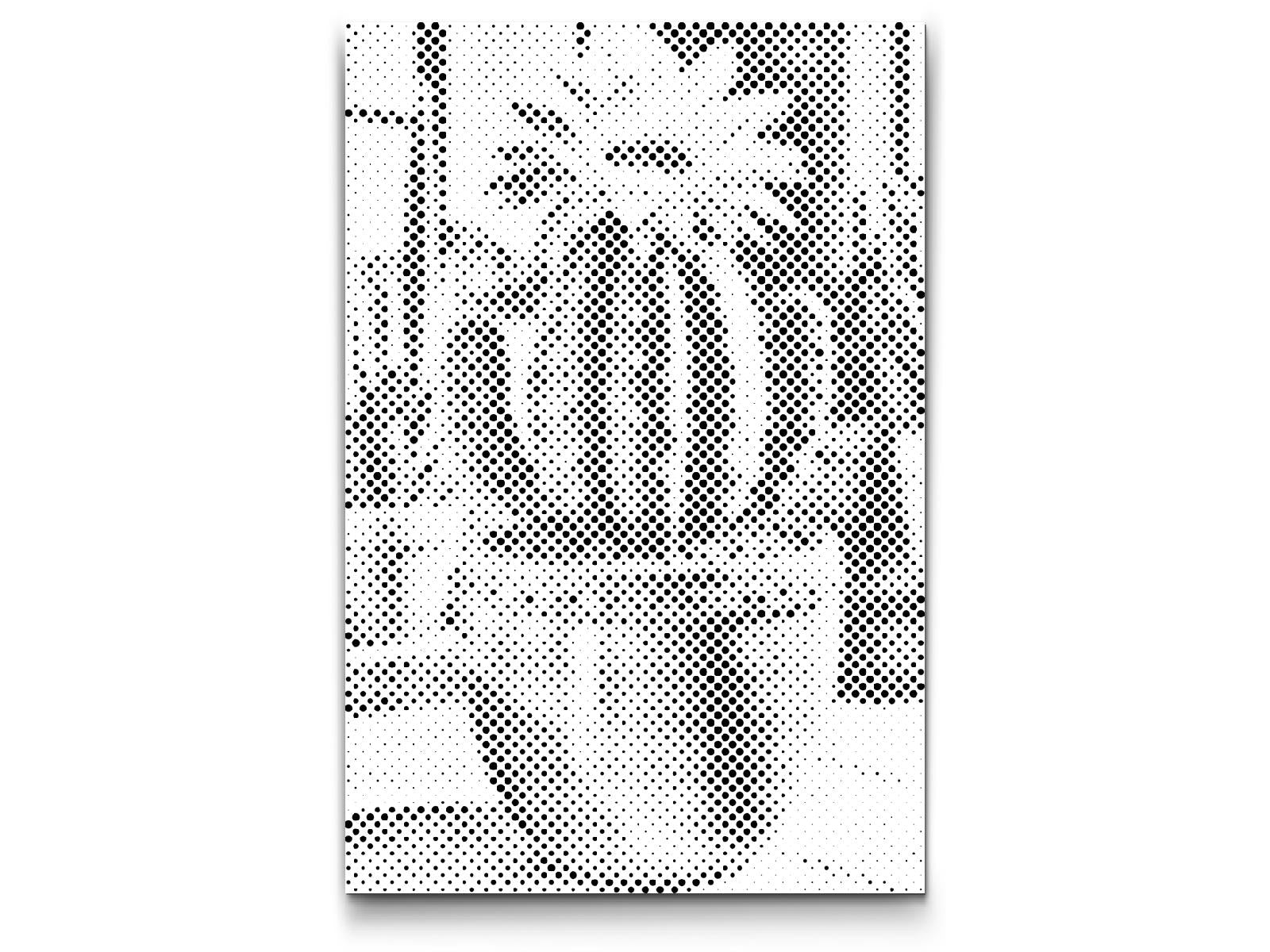 Dotting - Blomstrende kaktus