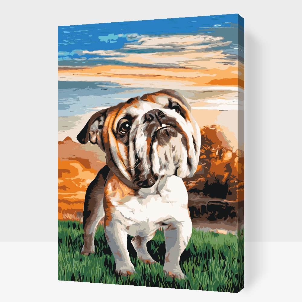 Paint by number - Engelsk bulldog i haven