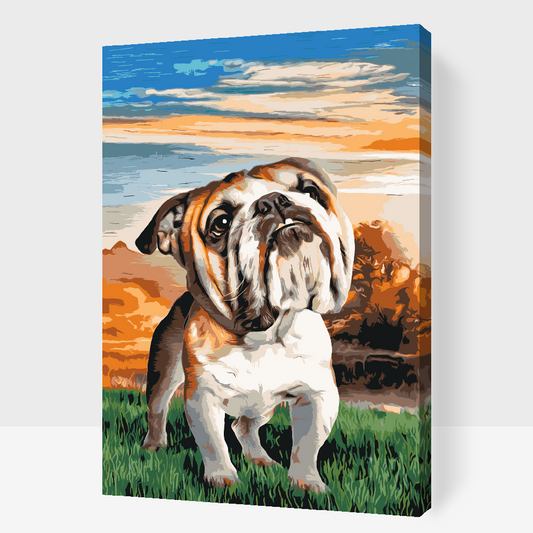 Paint by number - Engelsk bulldog i haven