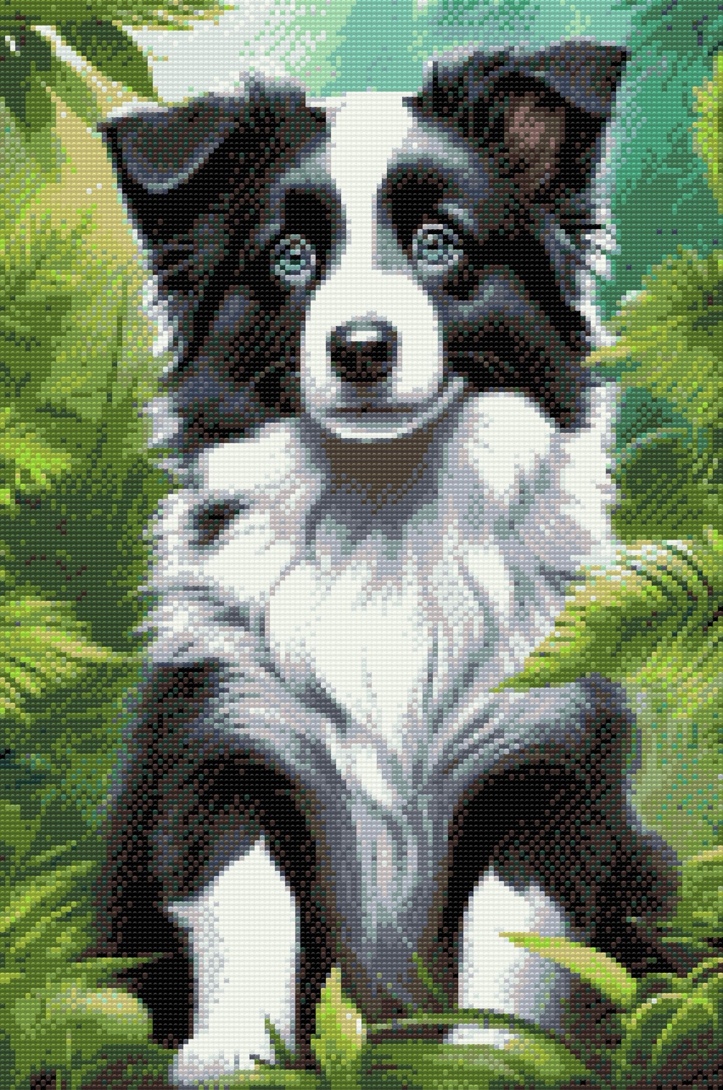 Diamond Paint - Border Collie-hvalp