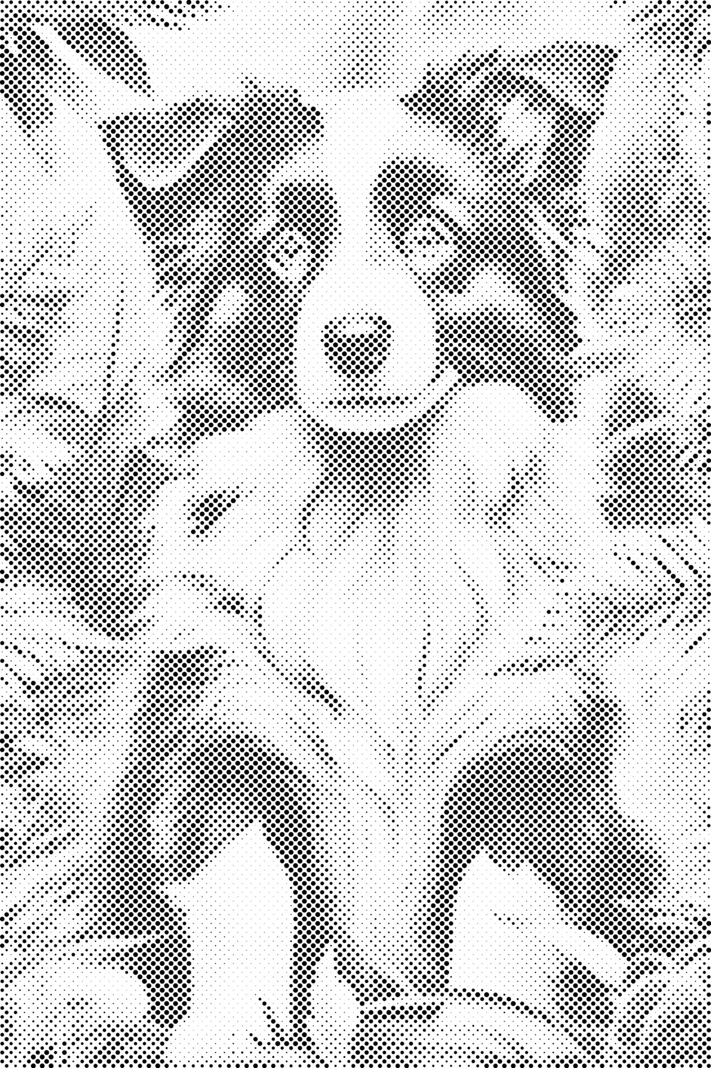 Dotting - Border Collie-hvalp