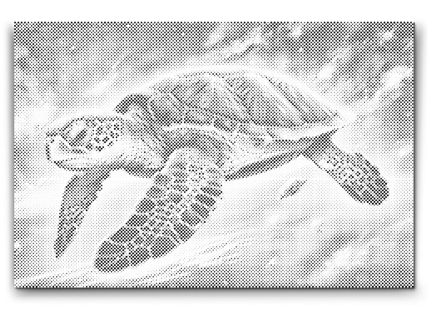 Dotting - Regnbueskildpadde
