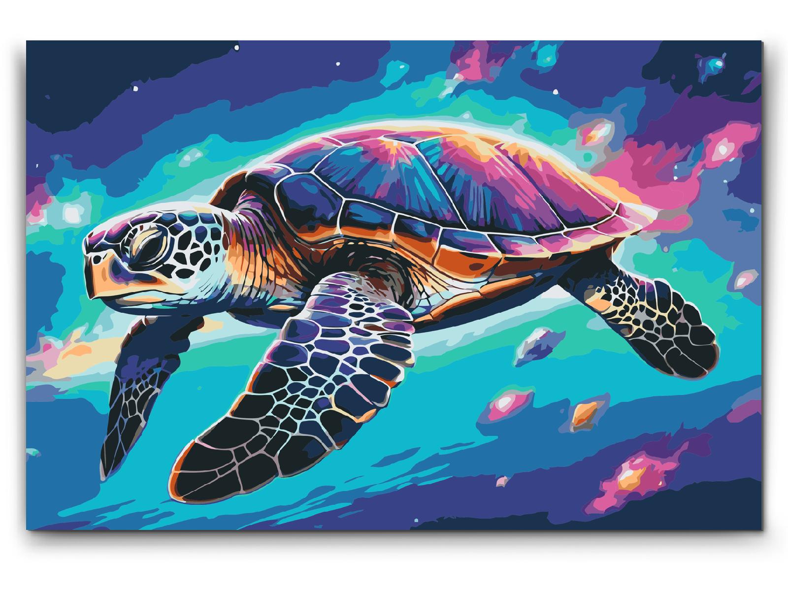 Paint by number - Regnbueskildpadde