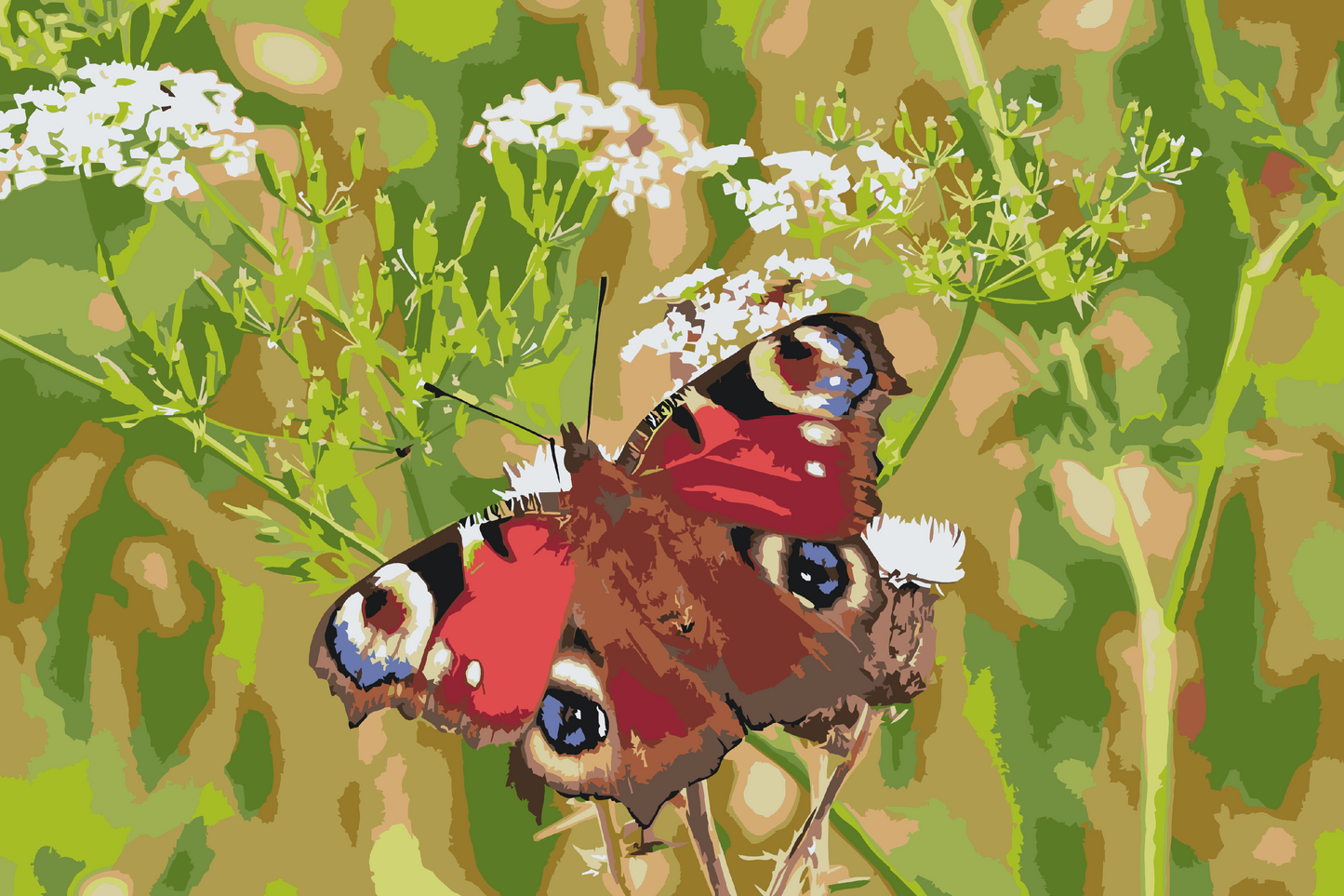 Paint by number - Sommerfugl i græsset