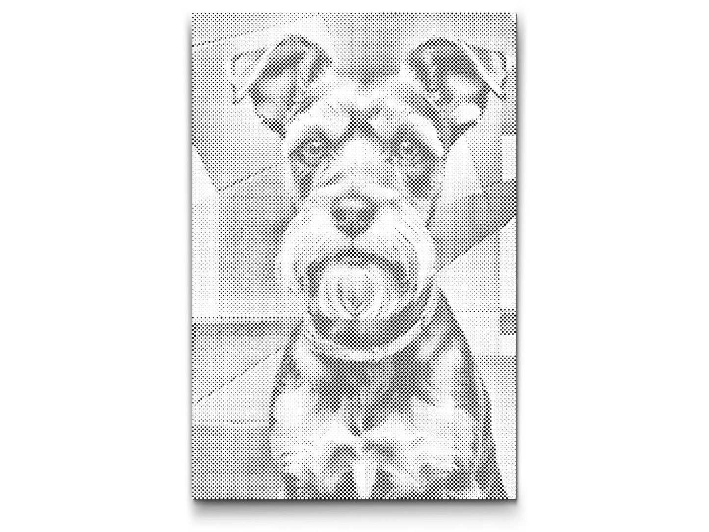 Dotting - Schnauzer