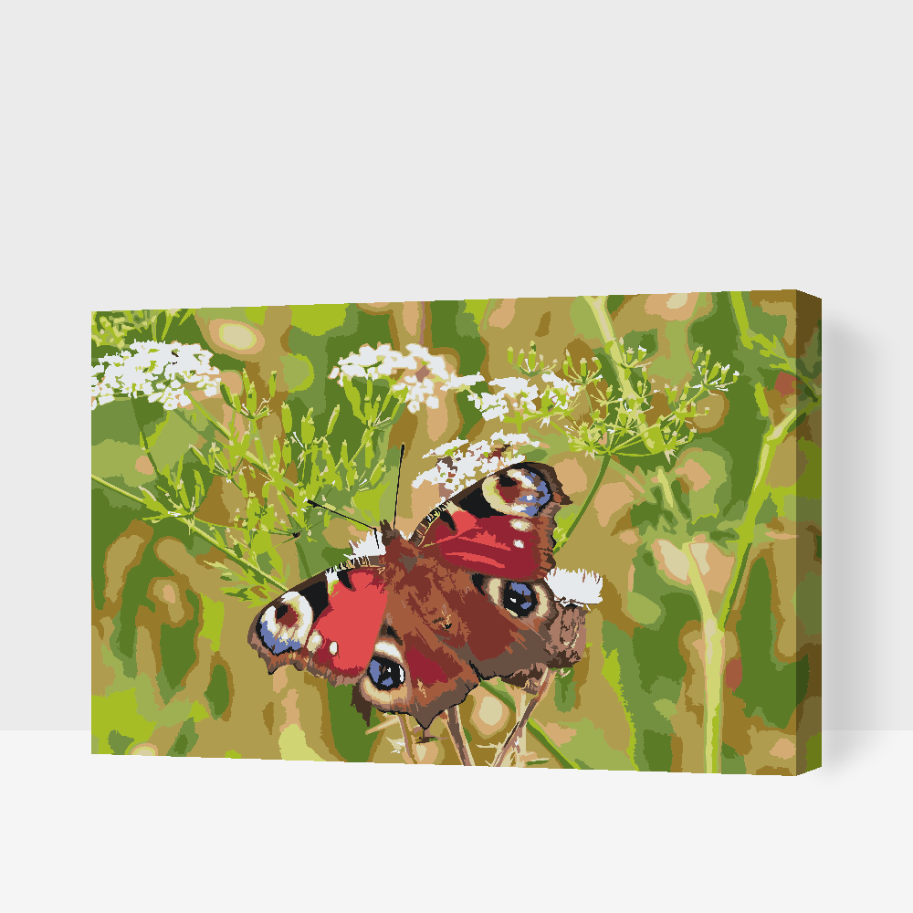 Paint by number - Sommerfugl i græsset