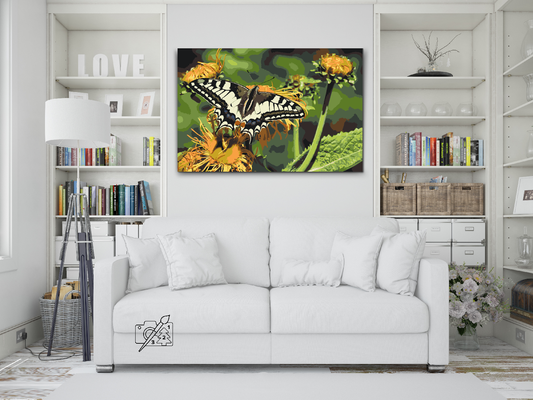 Paint by number - Sommerfugl på en mælkebøtte