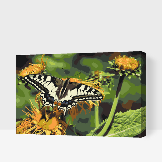 Paint by number - Sommerfugl på en mælkebøtte