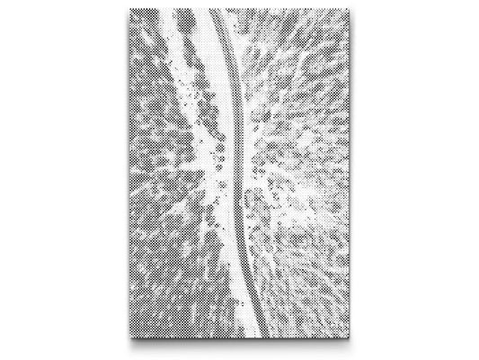 Dotting - Tyrol