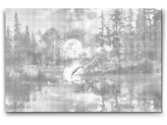 Dotting - Skorpionen