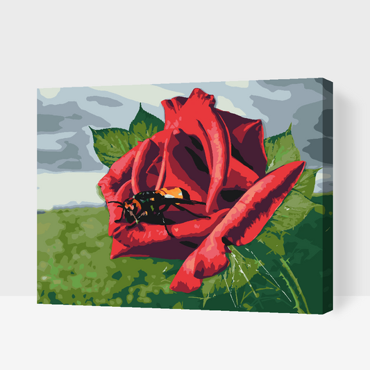 Paint by number - Bien på rosen