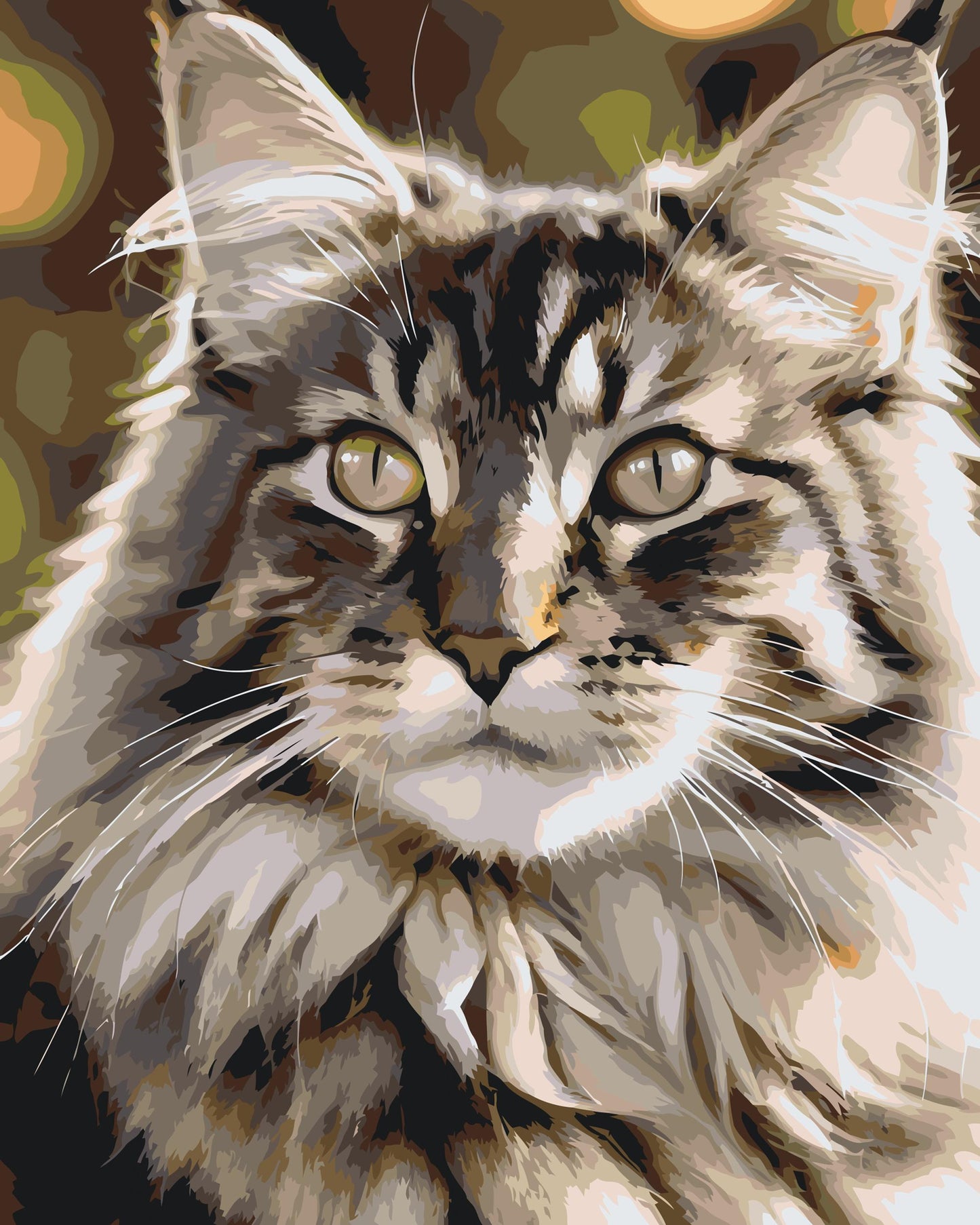 Paint by number - Maine Coon-kat