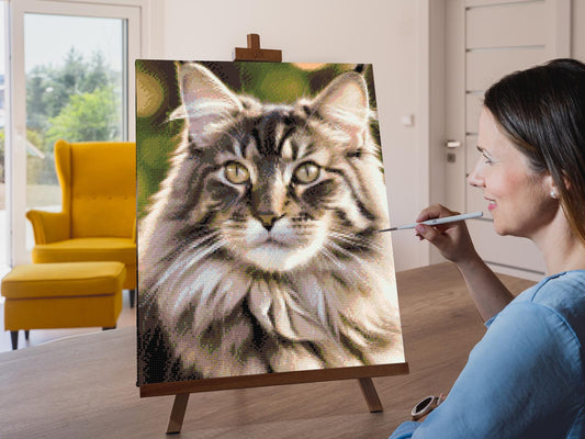 Diamond Paint - Maine Coon-kat