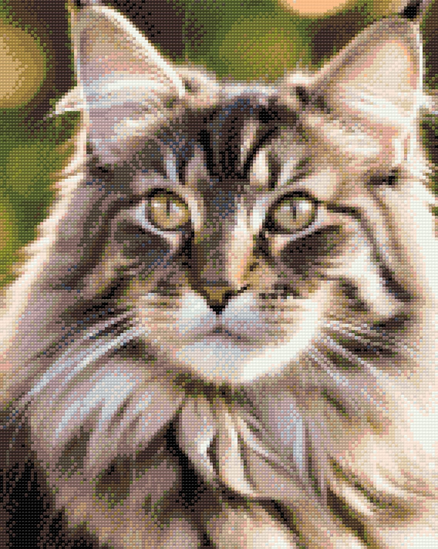 Diamond Paint - Maine Coon-kat