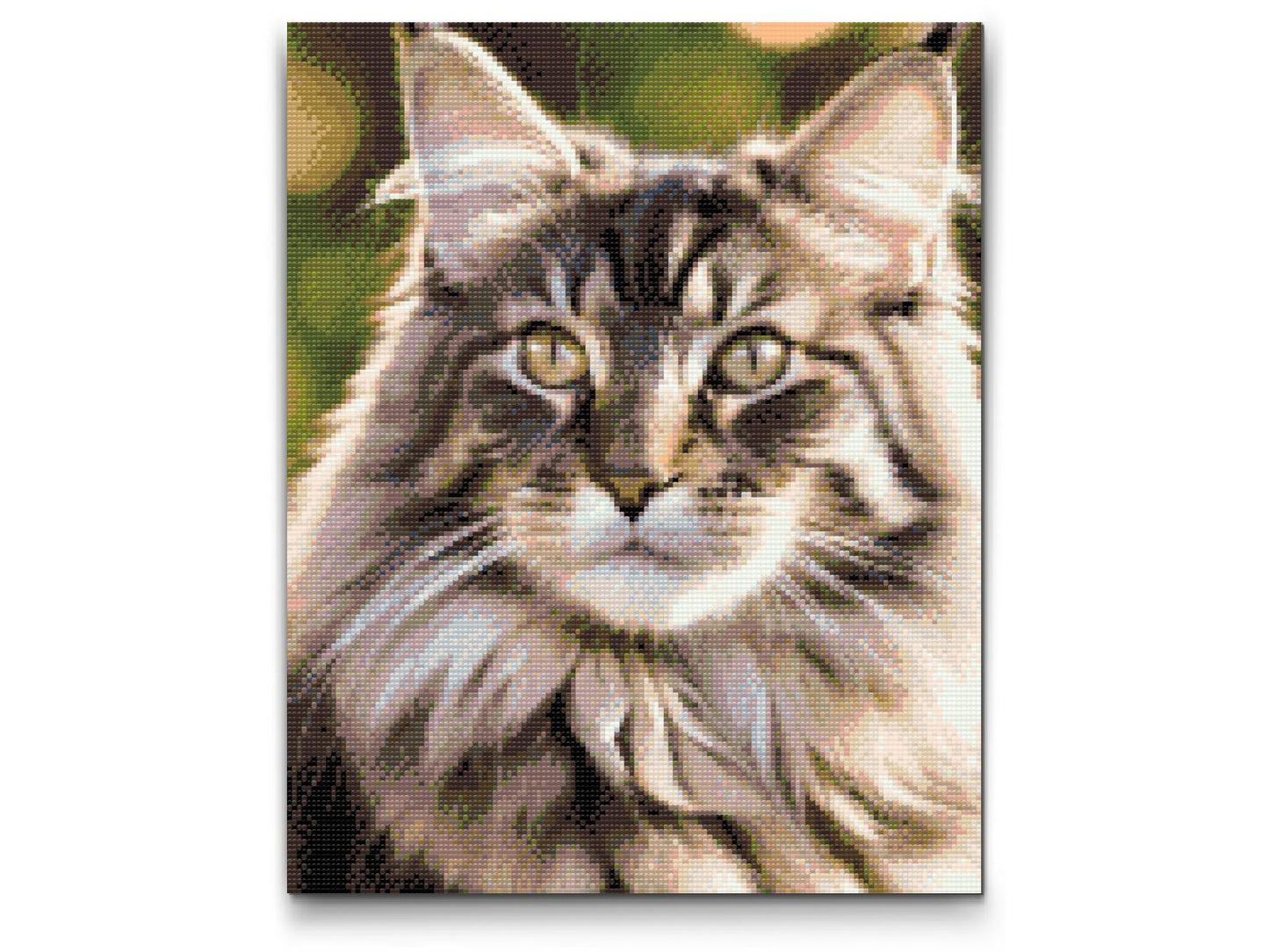 Diamond Paint - Maine Coon-kat