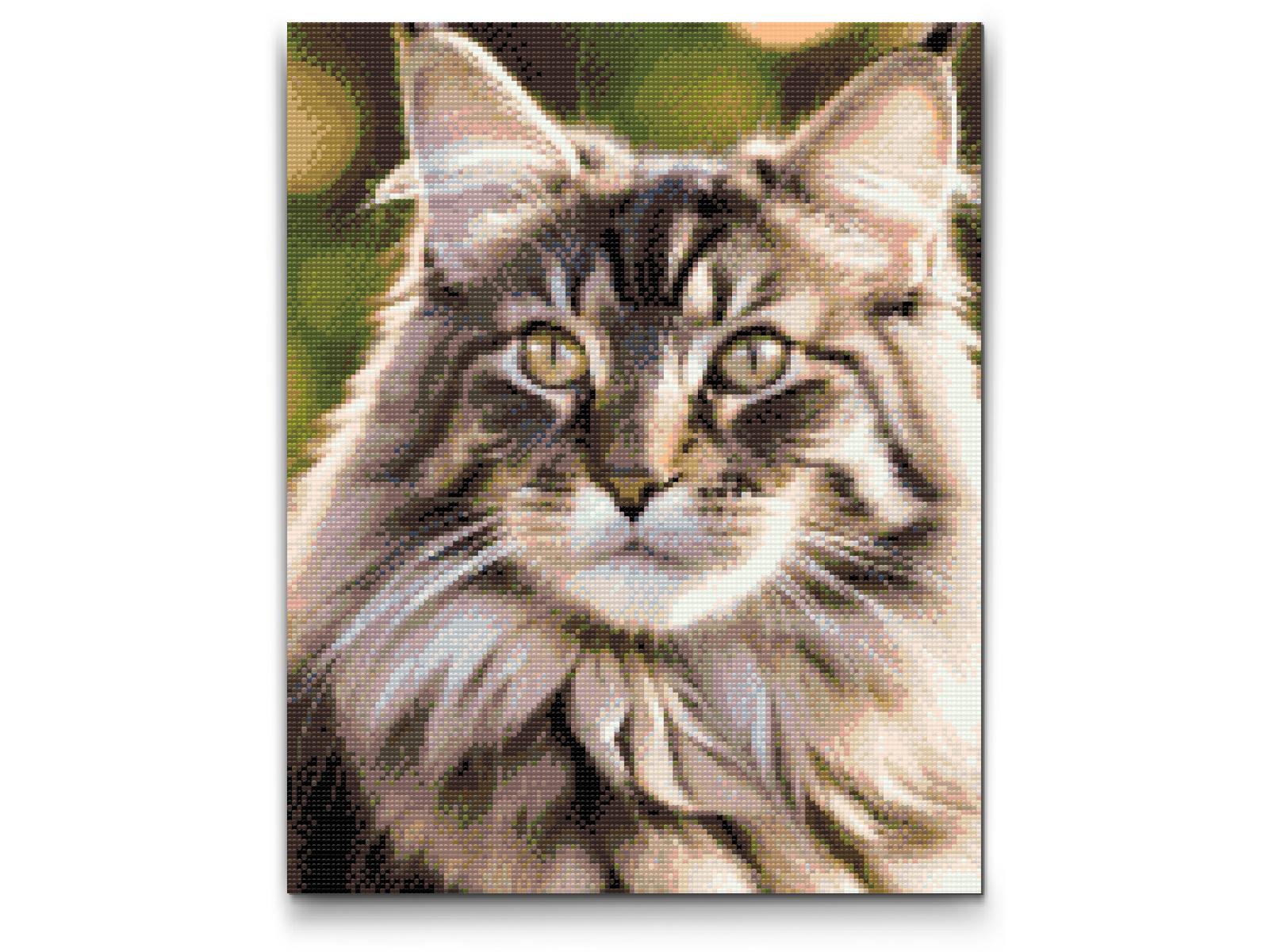 Diamond Paint - Maine Coon-kat
