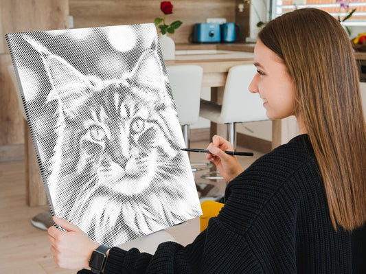 Dotting - Maine Coon-kat