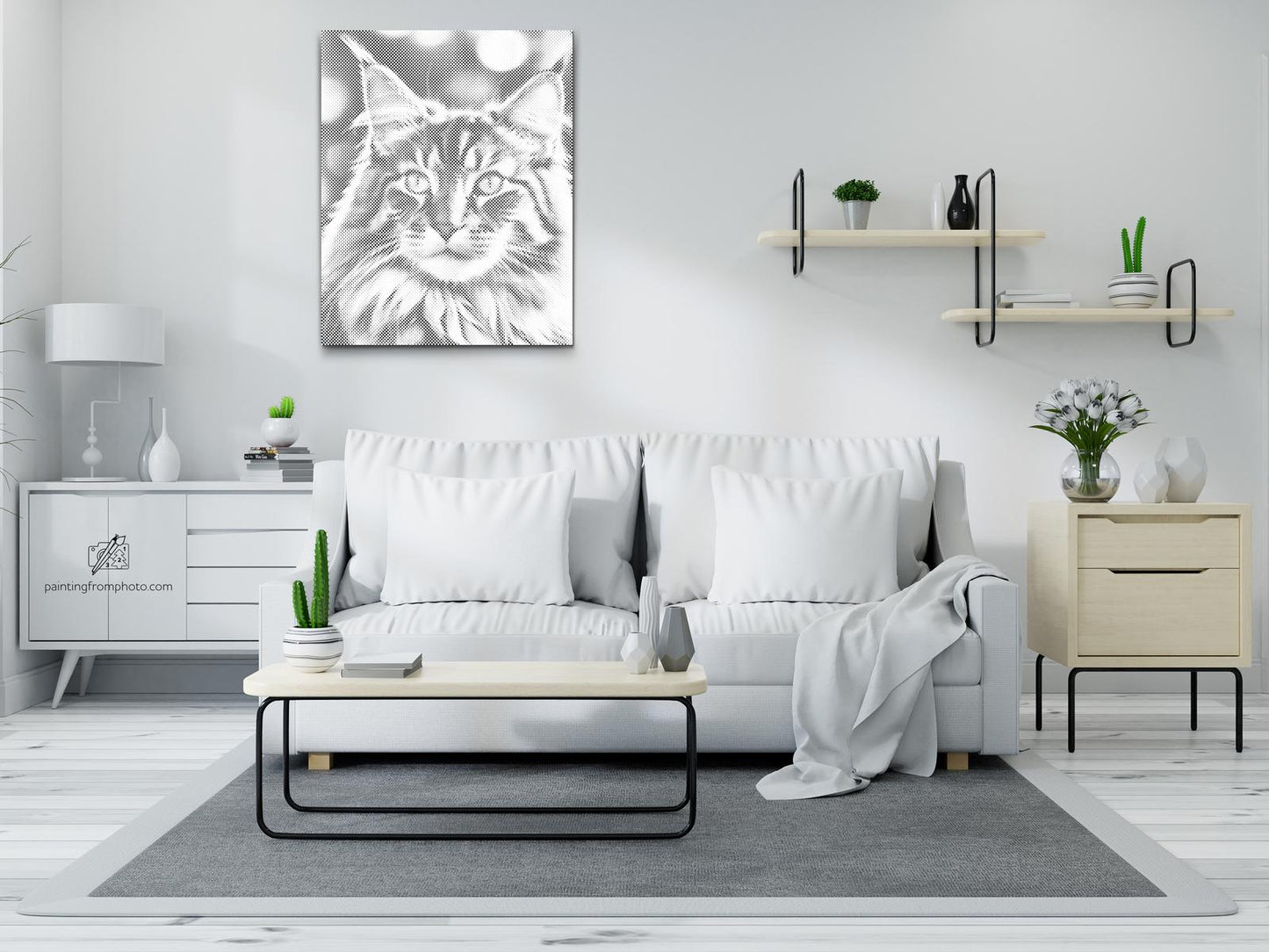 Dotting - Maine Coon-kat
