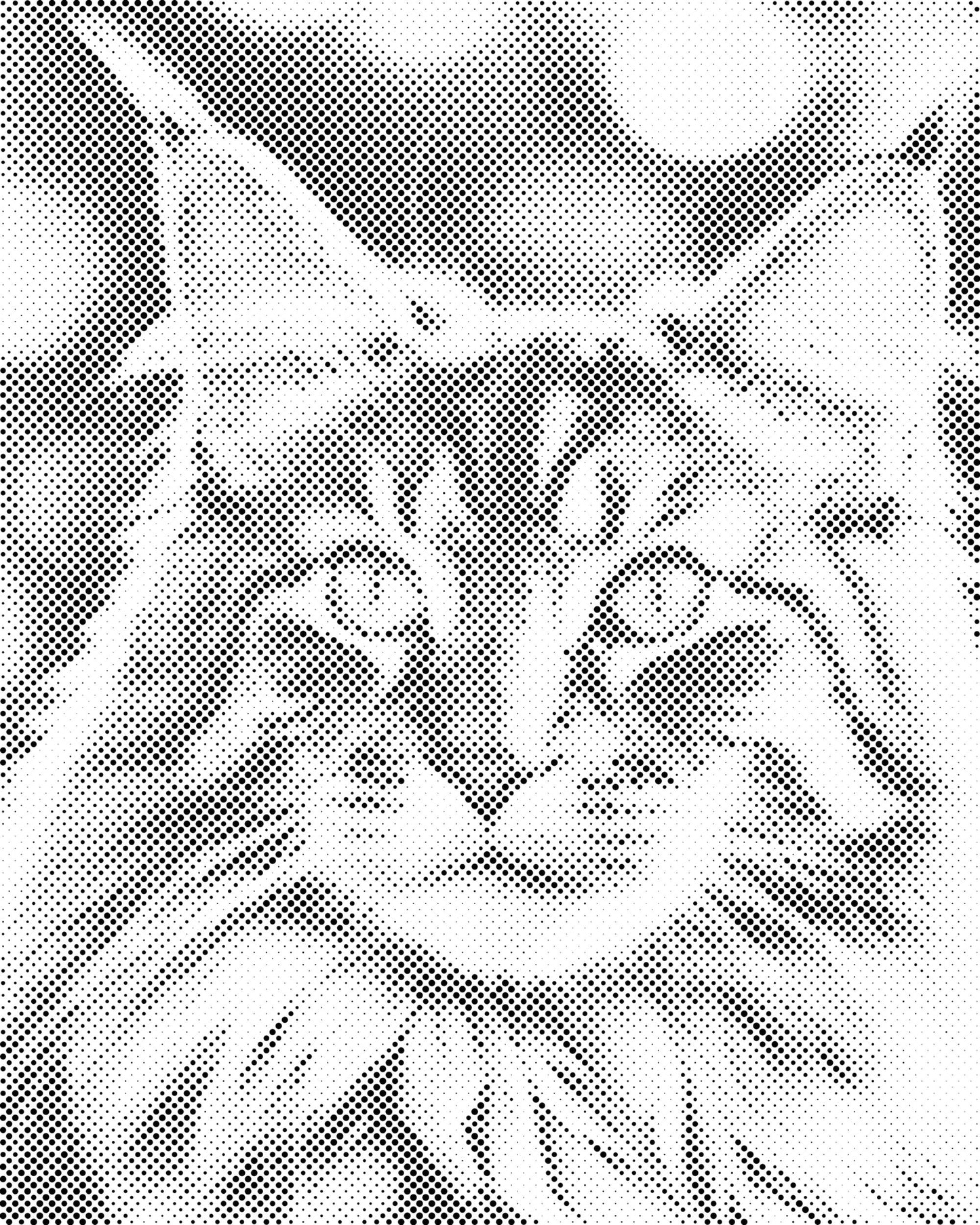 Dotting - Maine Coon-kat