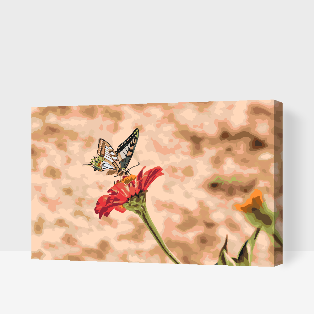 Paint by number - Sommerfugl på en rød blomst 2