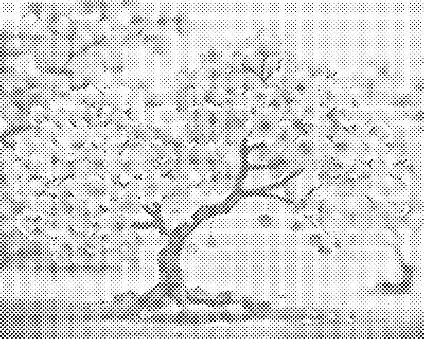 Dotting - Blomstrende sakura-bonsai