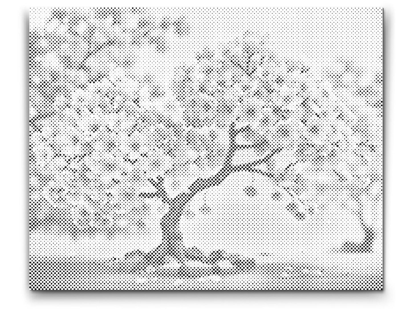 Dotting - Blomstrende sakura-bonsai
