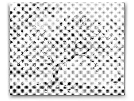 Dotting - Blomstrende sakura-bonsai